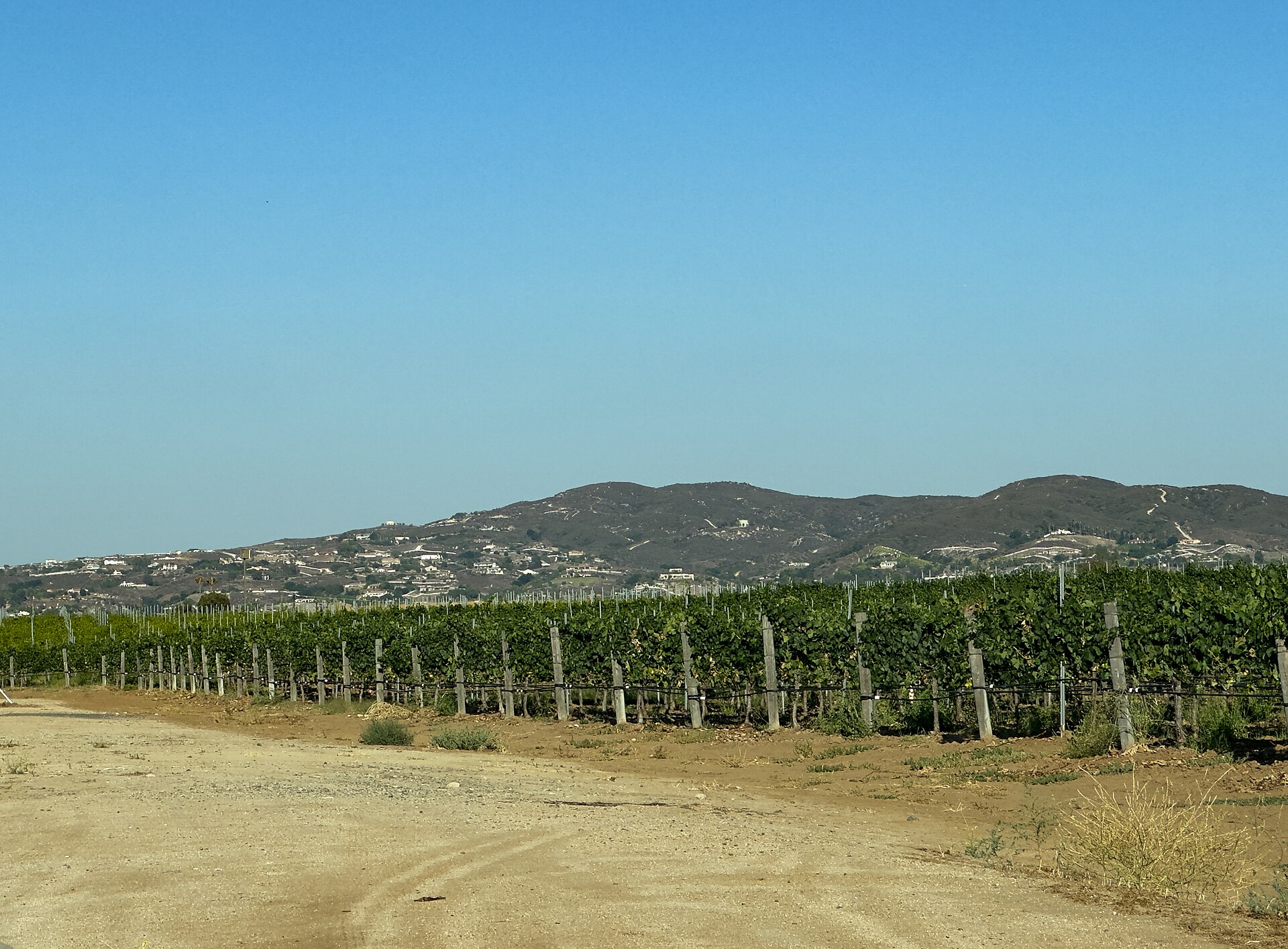 Temecula wine country